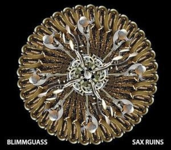 Sax Ruins - Blimmguass (CD)