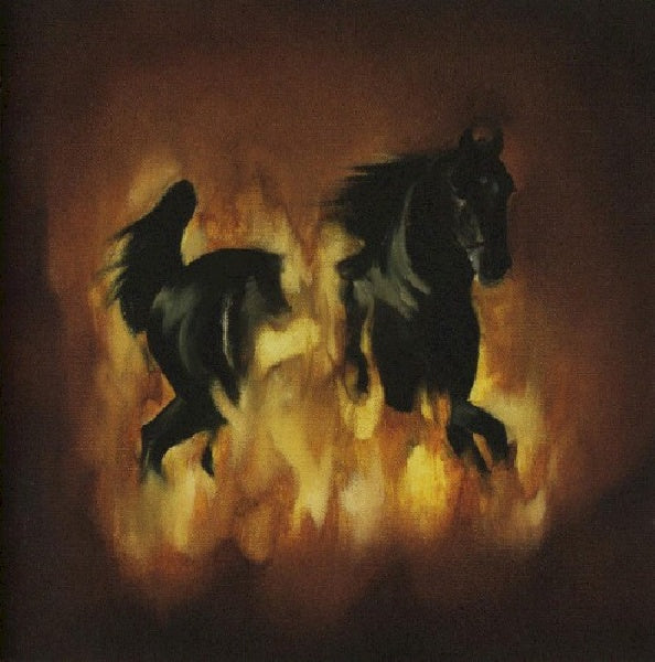 Besnard Lakes - Are the dark horse (CD)