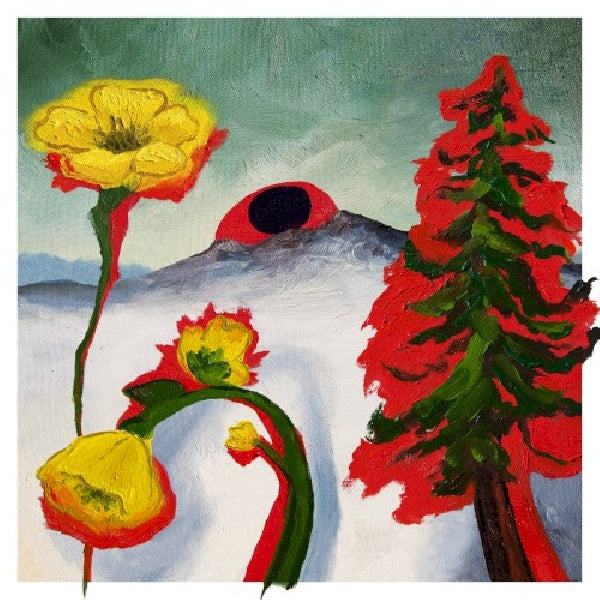 Woods - Strange to explain (Digipak CD)