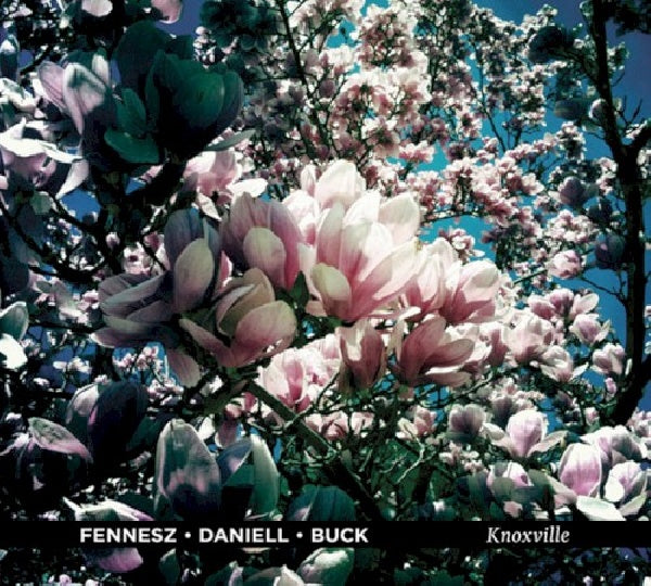Fennesz/daniell/buck - Knoxville (CD)
