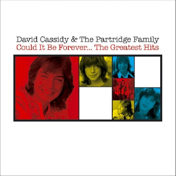 David Cassidy & The Partridge Family - Could it be forever - the greatest hits (Greatest Hits CD)
