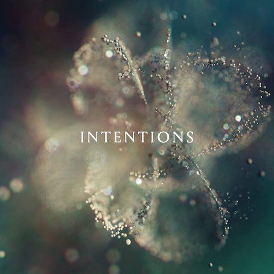 ANNA - Intentions (180gr., High Quality LP)