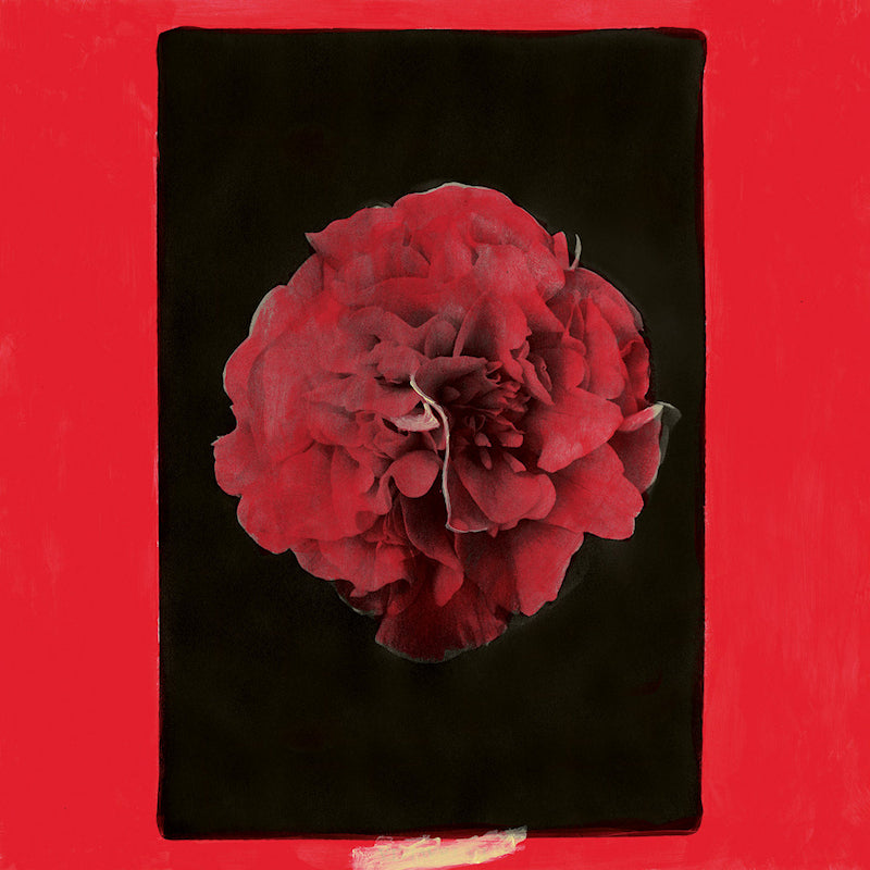 Activity - A thousand years in another way (LP)