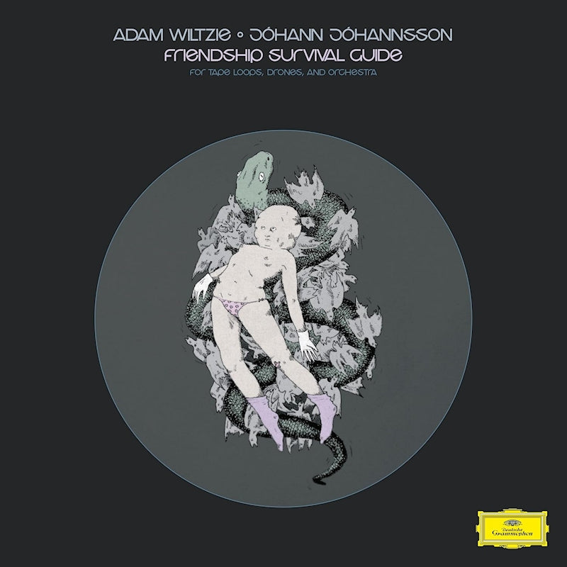 Johann Johannsson Adam Wiltzie - Friendship survival guide (LP)
