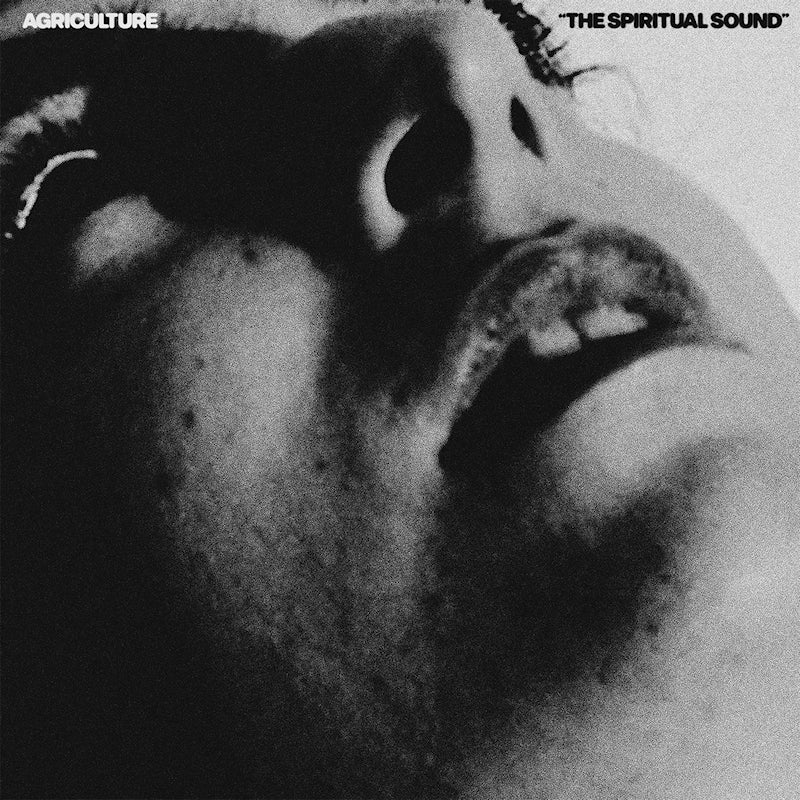 Agriculture - The spiritual sound (CD)