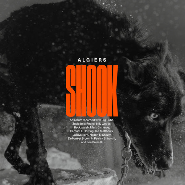 Algiers - Shook (6190338 CD)