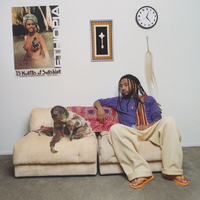 Amine - 13 months of sunshine (LP)