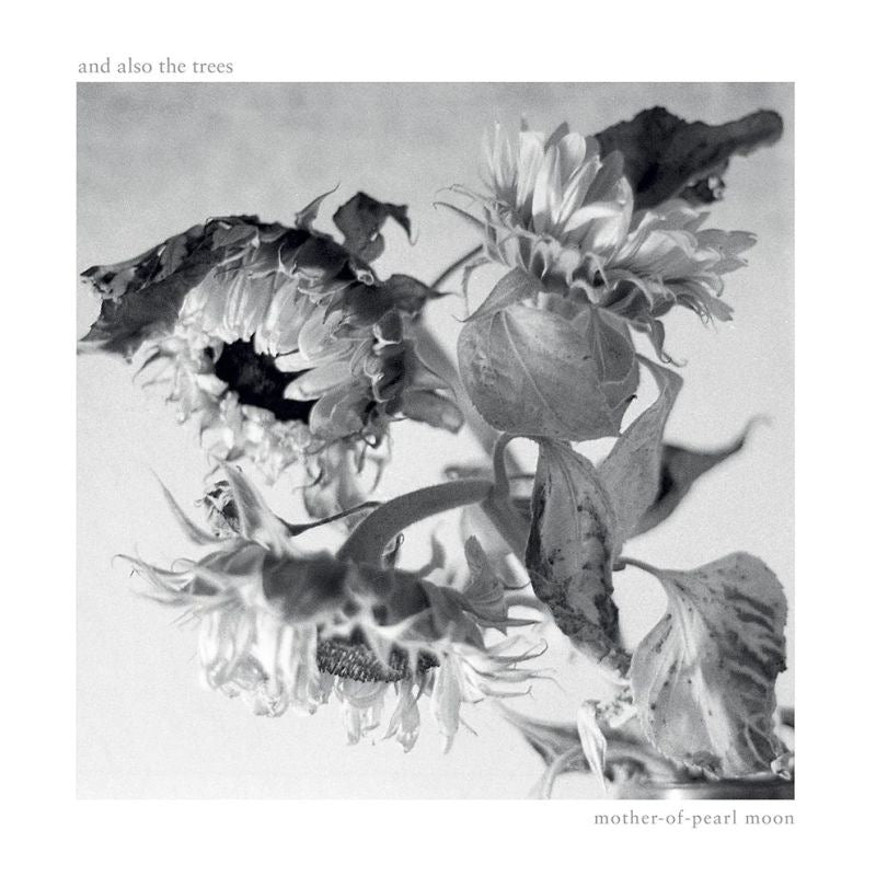 And Also The Trees - Mother-of-pearl moon (CD)