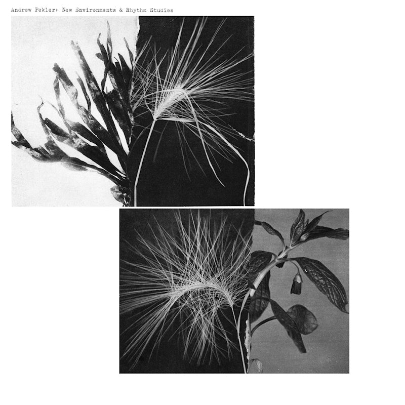 Andrew Pekler - New environments & rhythm studies (LP)