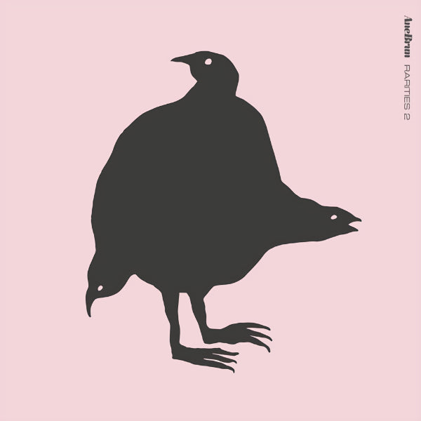 Ane Brun - Rarities 2 (Including 10 Not Previously Released Songs LP)
