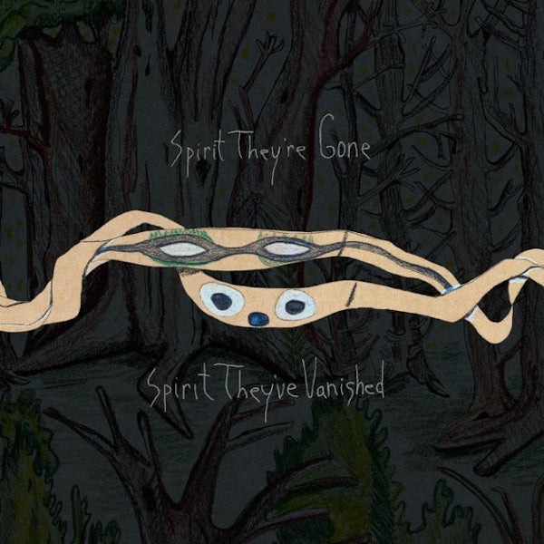 Animal Collective - Spirit they're gone, spirit they've vanished (LP)