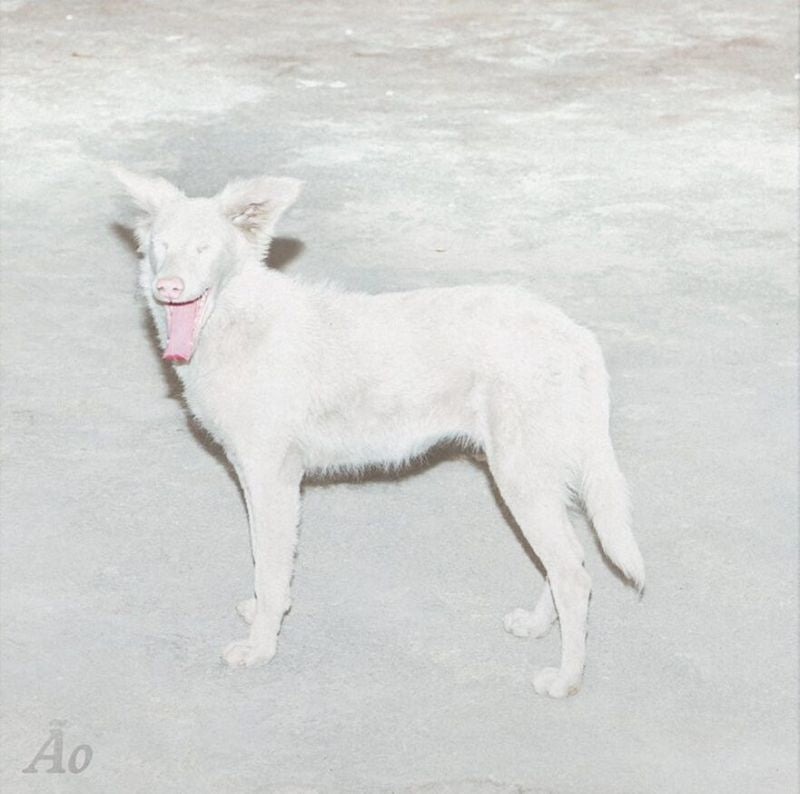 Ao - Malandra (12-inch maxi-single)
