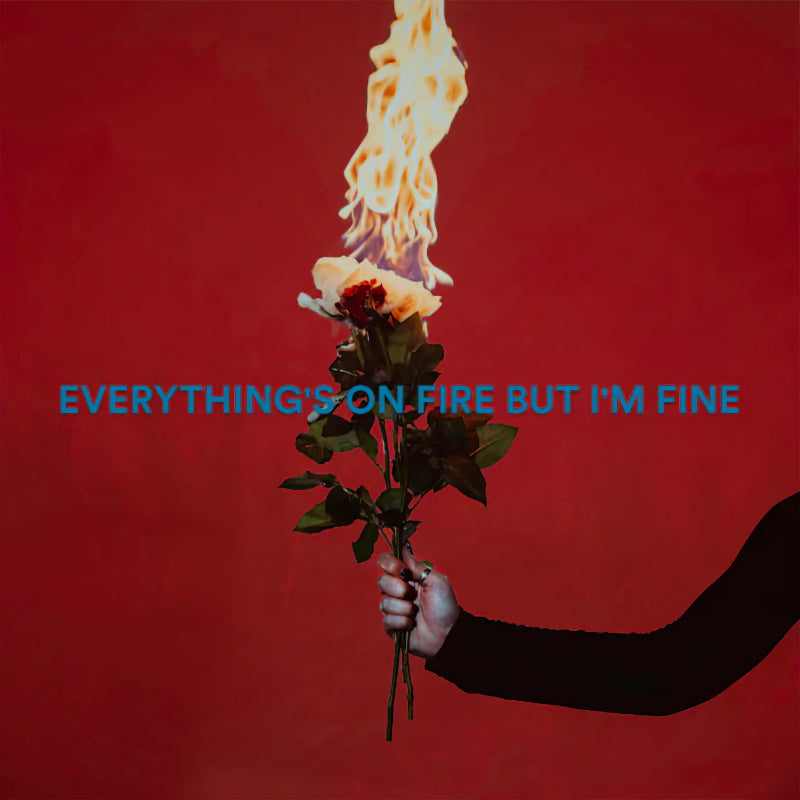 As December Falls - Everything's on fire but i'm fine (Deluxe Edition CD)