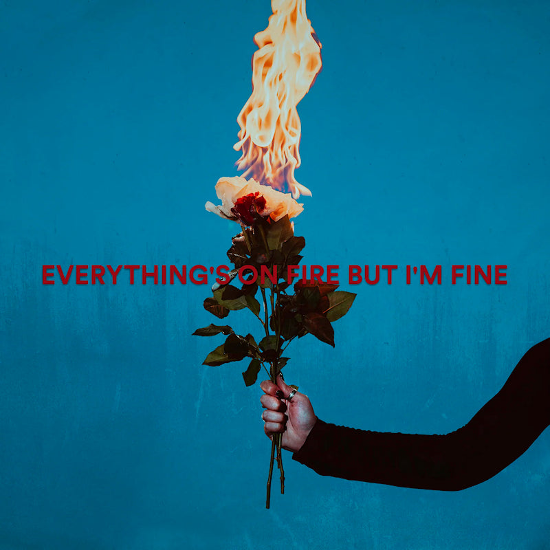 As December Falls - Everythings on fire but im fine (Red, Coloured Vinyl LP)