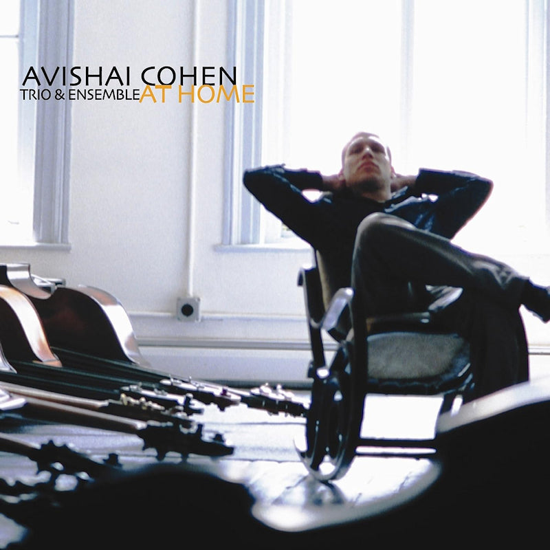 Avishai Cohen - At home (LP)