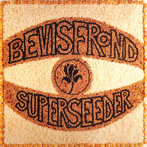 Bevis Frond - Superseeder (LP)