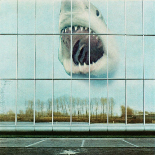Black Mountain - Wilderness heart (CD)