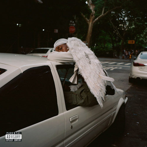 Blood Orange - Negro swan (LP)