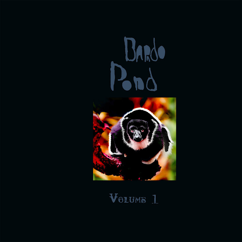 Bardo Pond - Volume 1 (Rsd 21 Orange Vinyl, Coloured Vinyl LP)