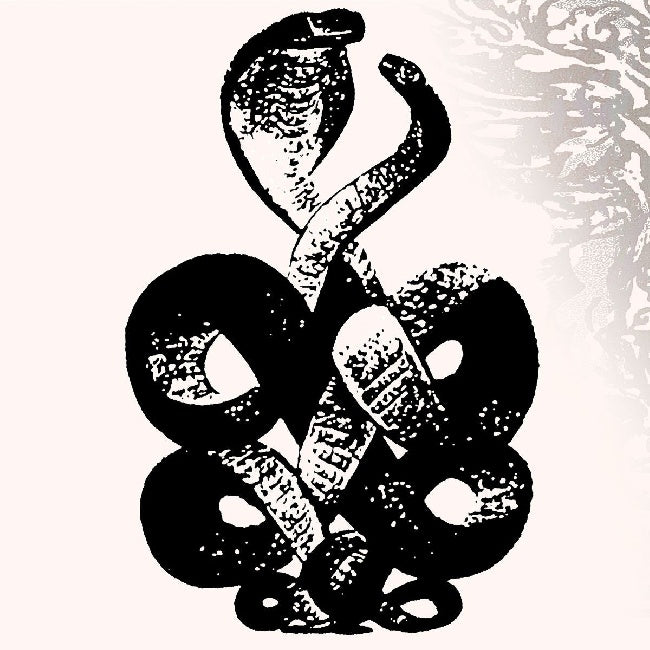 Bardo Pond - Volume 4 & 5 (LP)