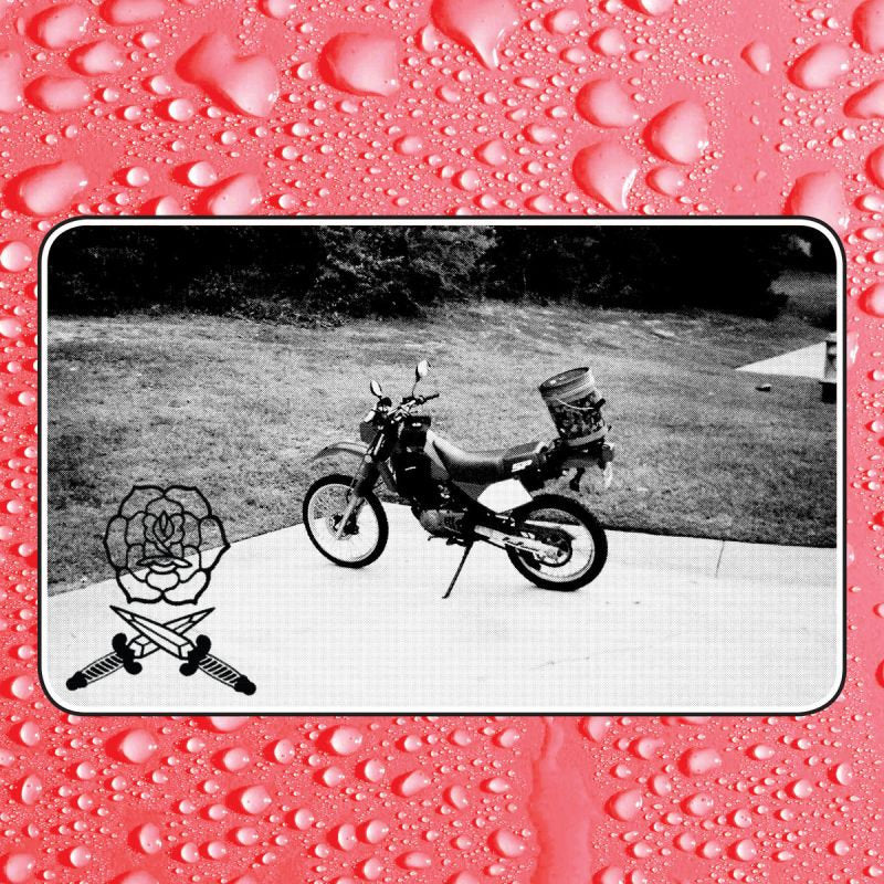 Bass Drum Of Death - Say i won't (LP)