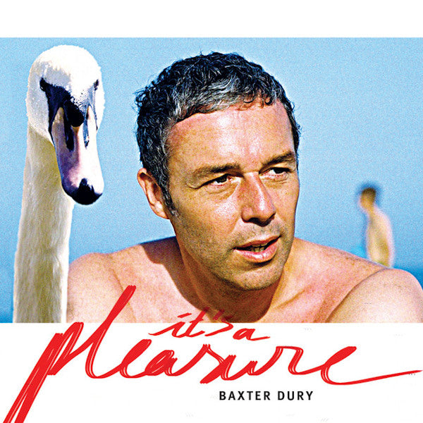 Baxter Dury - It's a pleasure (LP)