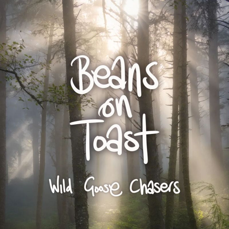 Beans On Toast - Wild goose chasers (Picture Disc LP)