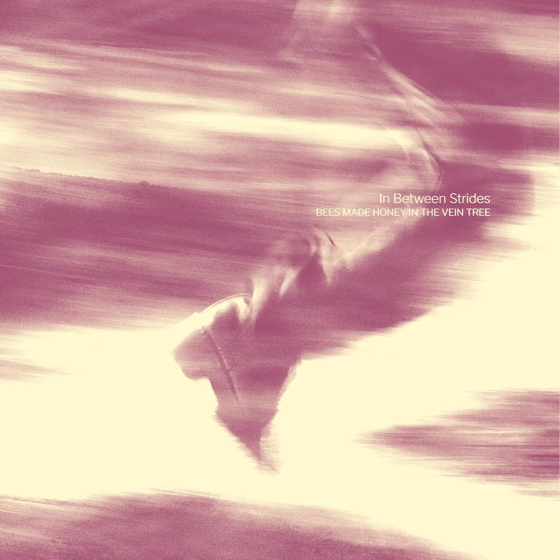 Bees Made Honey In The Vein Tree - In between strides (LP)