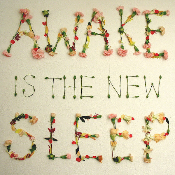 Ben Lee - Awake is the new sleep (Producer: Brad Wood (Liz Phair/Smashing Pumpkins) CD)