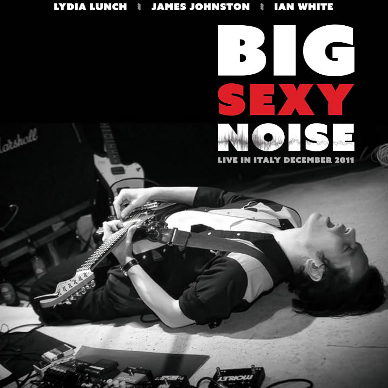 Big Sexy Noise - Live in italy (CD)