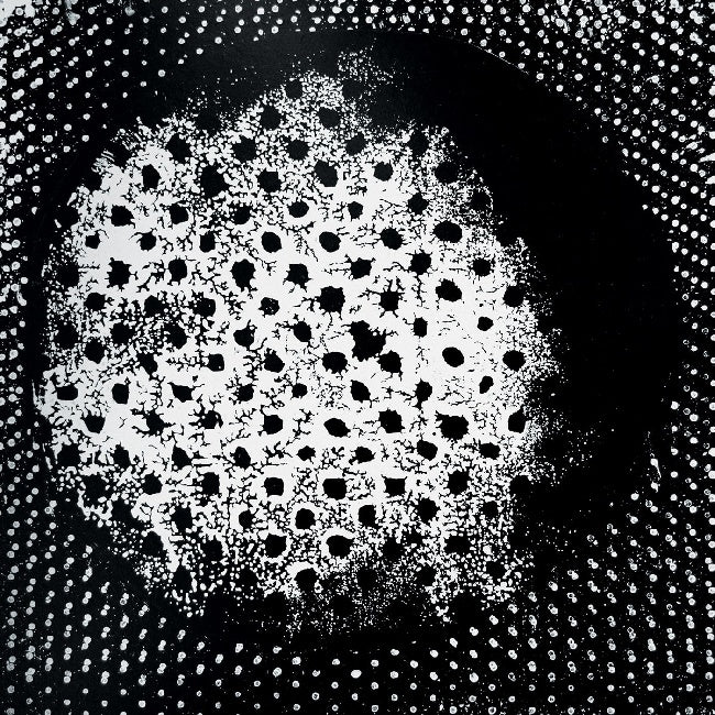 Biosphere - Patashnik (1994 Album, Reissue LP)