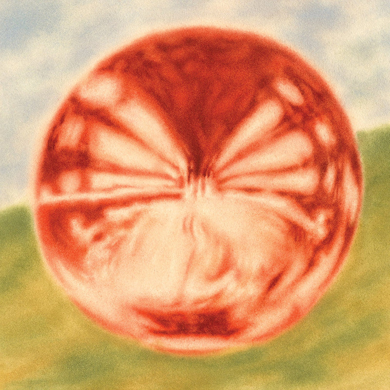 Bloomsday - Heart of the artichoke (CD)