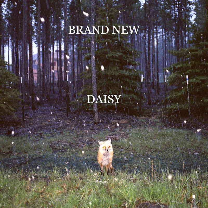 Brand New - Daisy (Gatefold, Gatefold Sleeve LP)