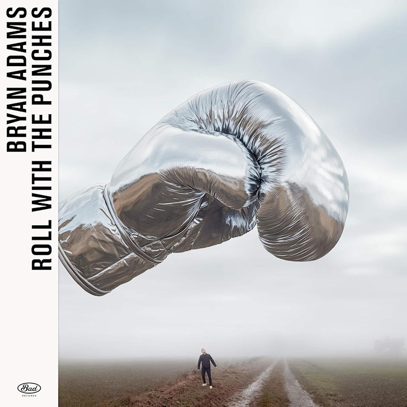Bryan Adams - Roll with the punches (CD)