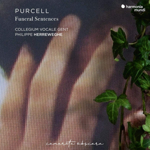 Philippe Herreweghe Collegium Vocal - Purcell funeral sentences (Collegium Vocale Gent/Philippe Herreweghe CD)