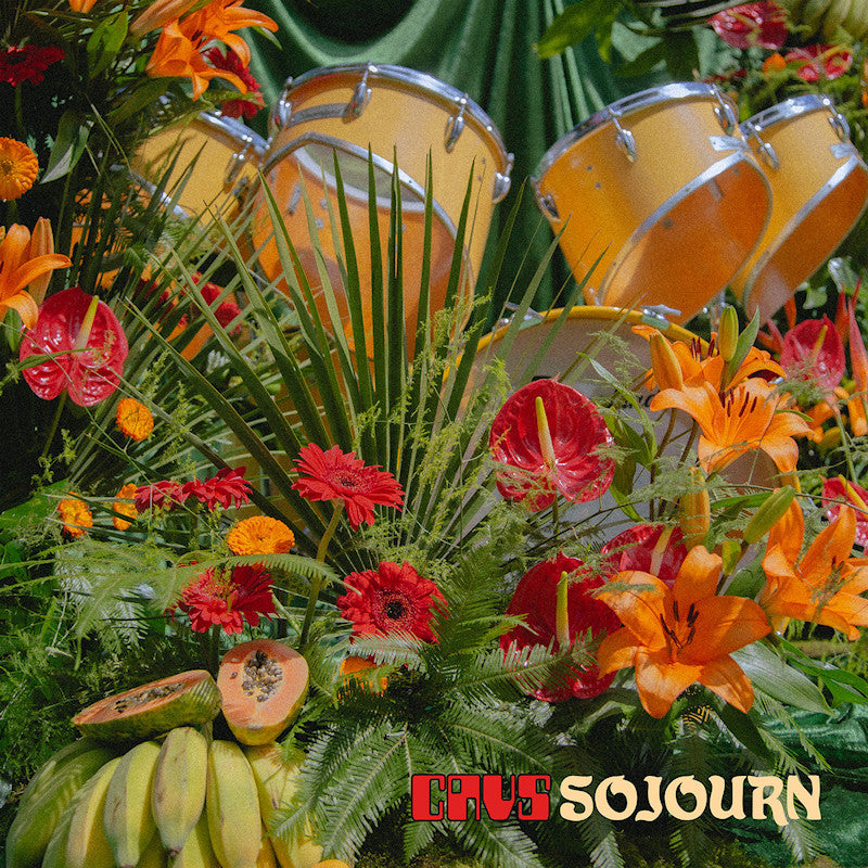 Cavs - Sojourn (LP)