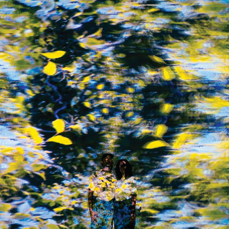 Chaton Laveur - Labyrinthe (CD)