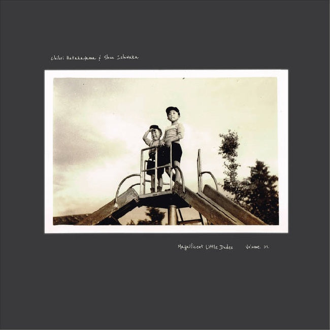 Chihei Hatakeyama & Shun Ishiwaka - Magnificent little dudes vol 1 (LP)