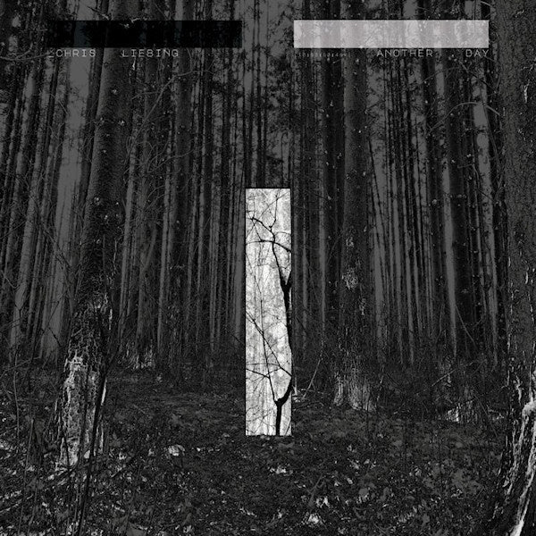 Chris Liebing - Another day (LP)