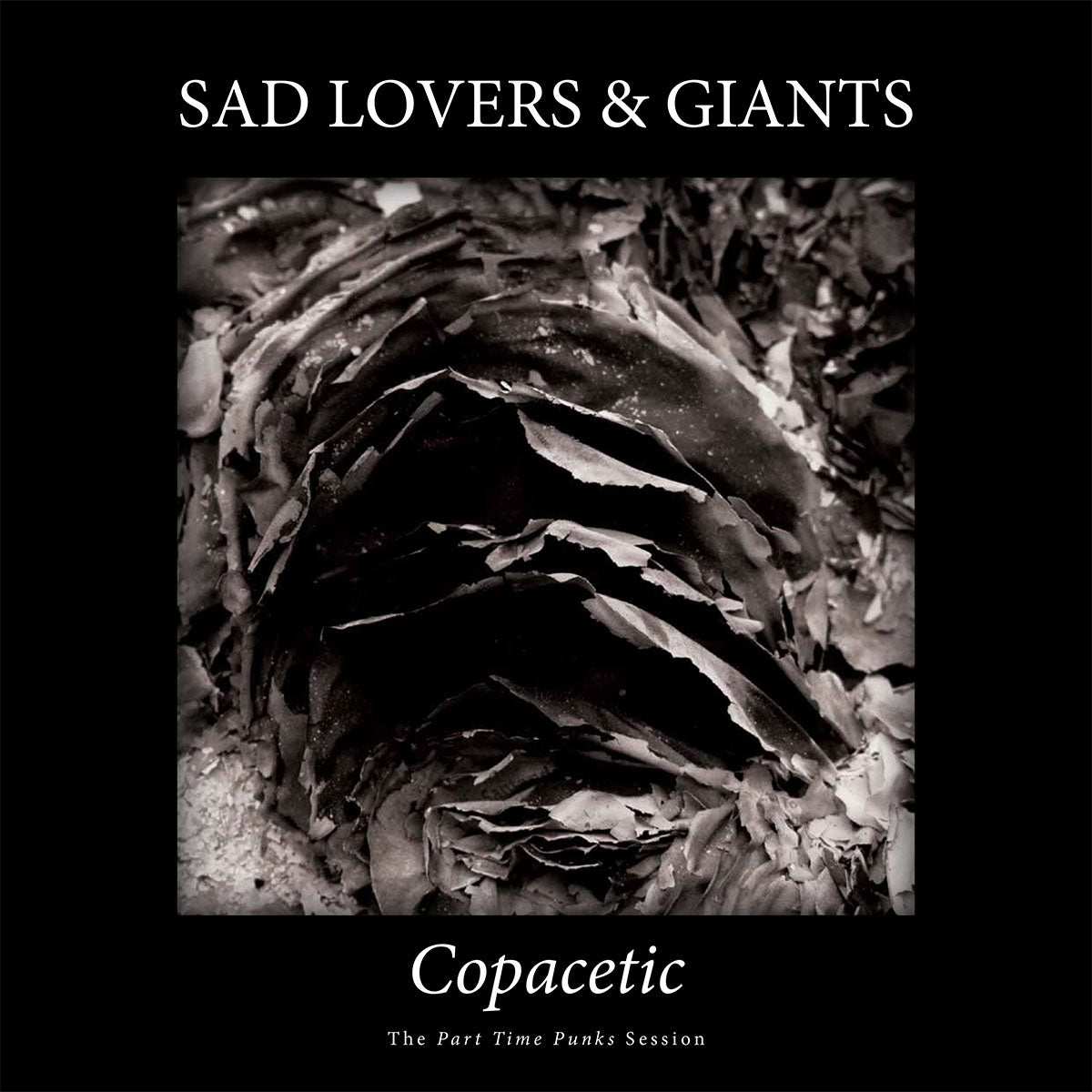 Sad Lovers & Giants - Copacetic (LP)