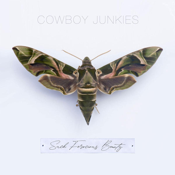 Cowboy Junkies - Such ferocious beauty (.. Ferocious Beauty / Limited Tan Translucen Lp, Coloured Vinyl LP)
