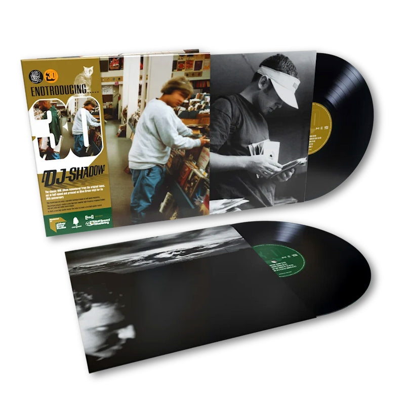 Dj Shadow - Endtroducing..... (LP)
