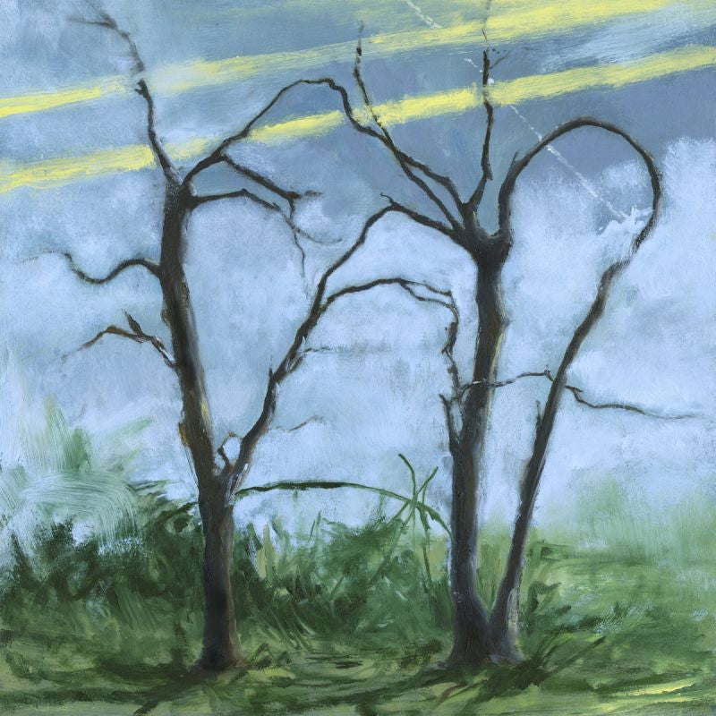 Daffo - Where the earth bends (LP)