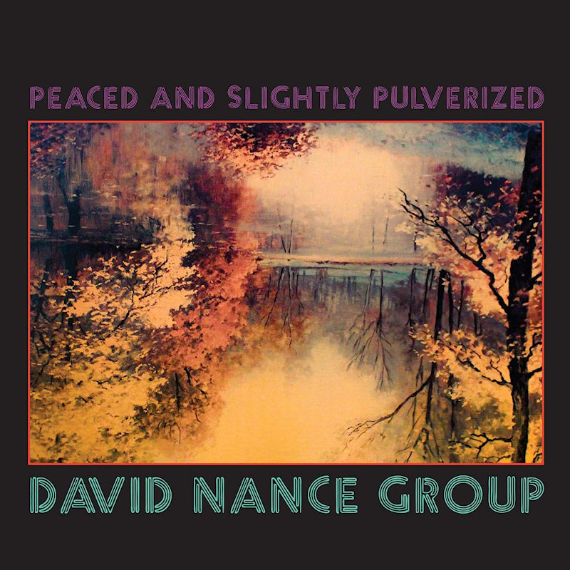 David Nance Group - Peaced and slightly pulverized (CD)