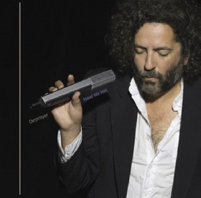 Destroyer - Have we met (LP)