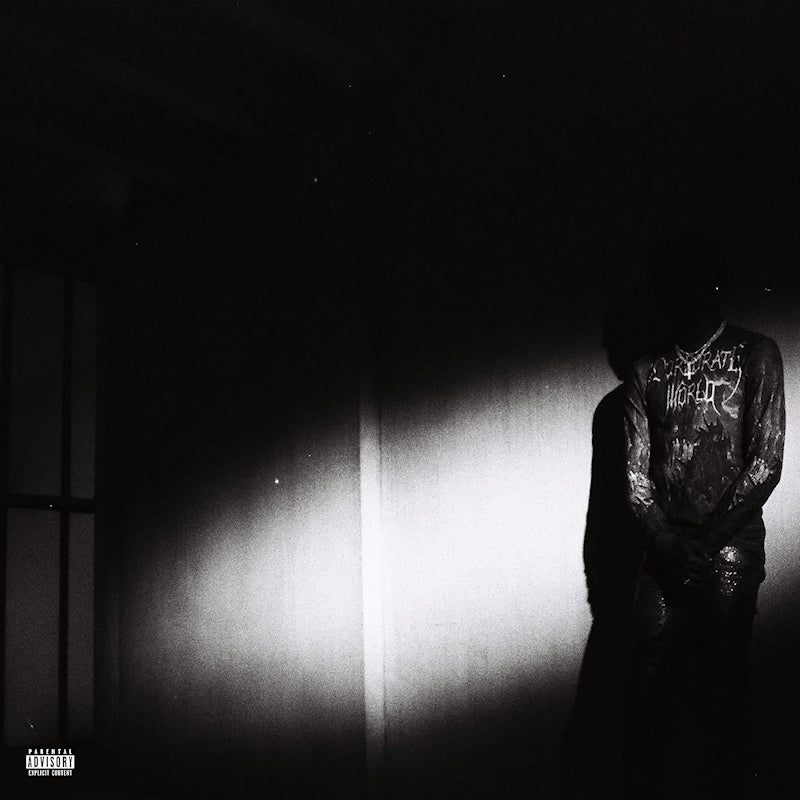 Destroy Lonely - No stylist (LP)