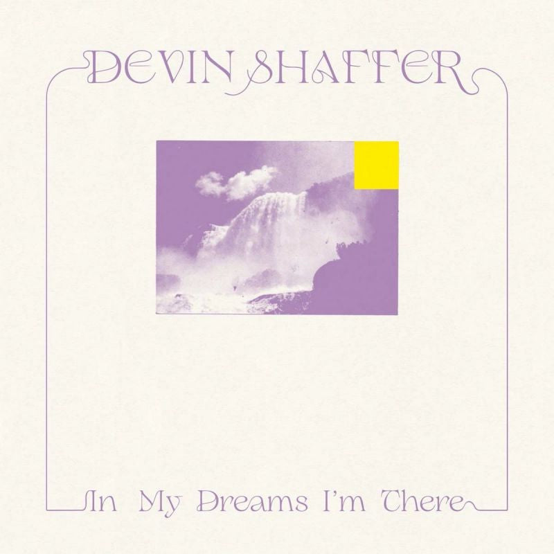 Devin Shaffer - In my dreams i'm there (CD)