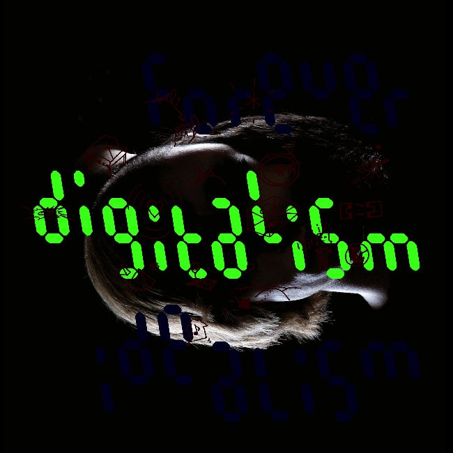 Digitalism - Idealism forever (Remastered LP)
