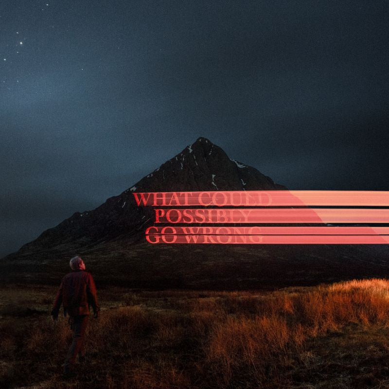 Dominic Fike - What could possibly go wrong (4604138 LP)