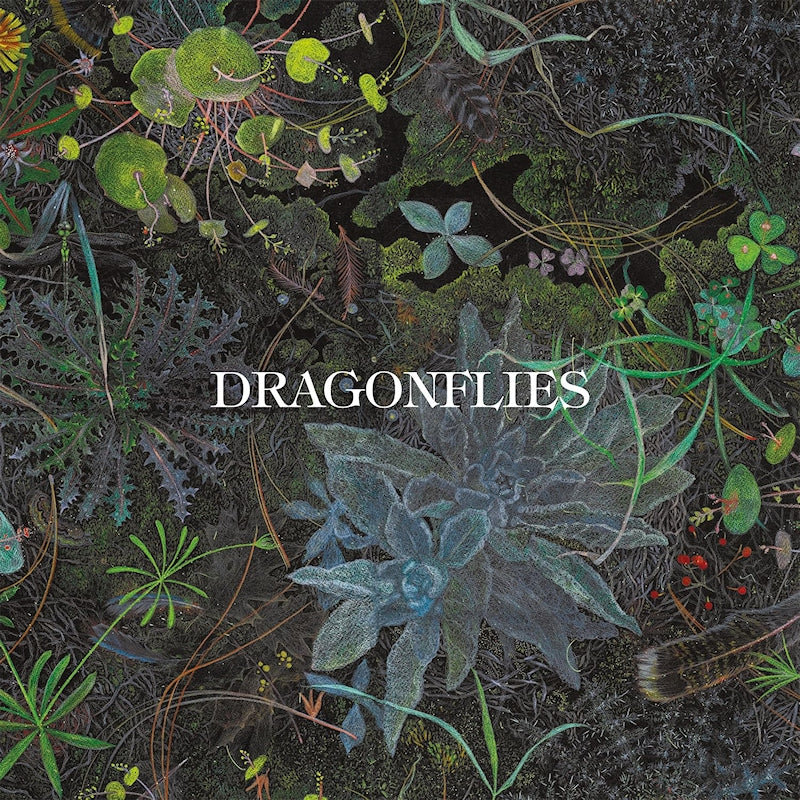 The Dragonflies - Dragonflies (CD)